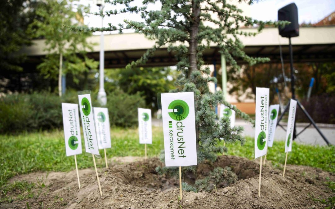5 éves fennállását ünnepli a CédrusNet Kecskemét Program